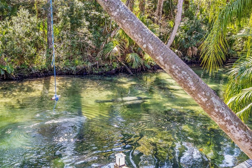 For Sale: $1,200,000 (3 beds, 2 baths, 1545 Square Feet)