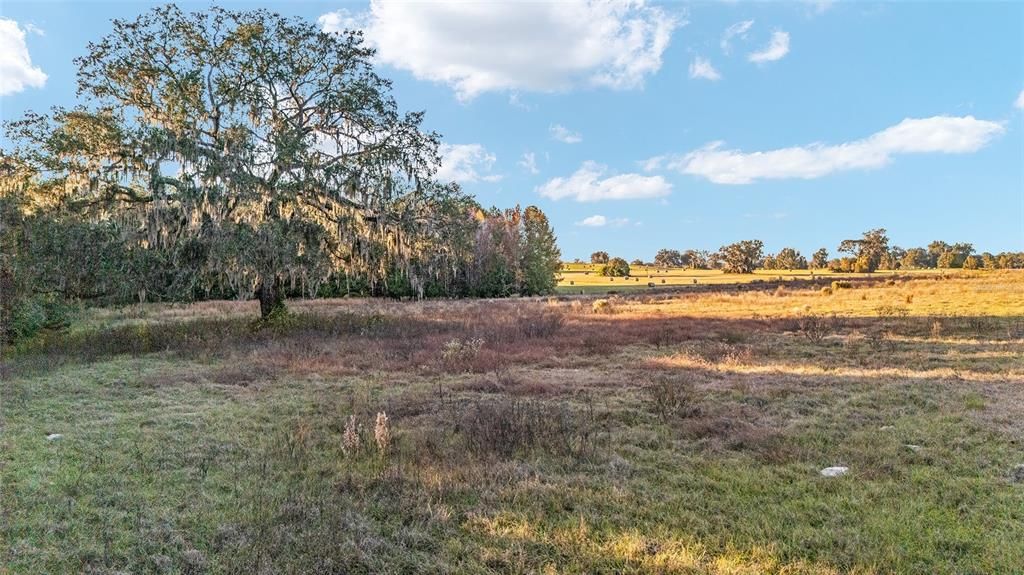 For Sale: $575,000 (10.00 acres)