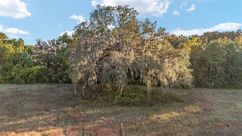 For Sale: $575,000 (10.00 acres)