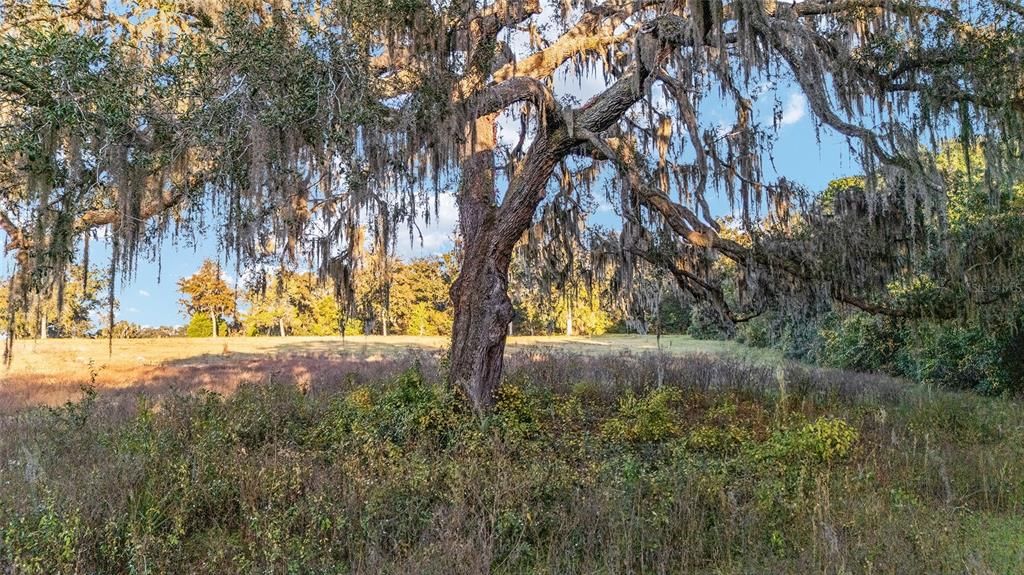 For Sale: $575,000 (10.00 acres)