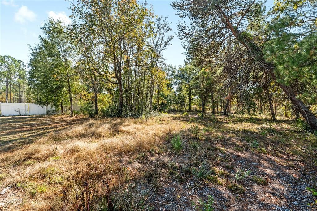 Под контрактом: $350,000 (5 спален, 2 ванн, 2906 Квадратных фут)