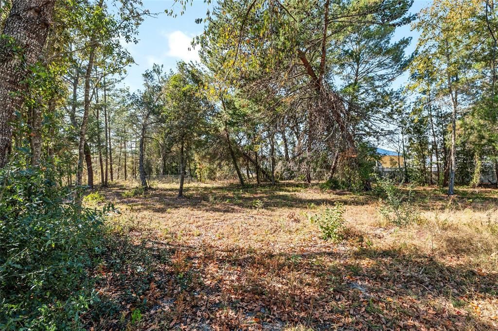 Под контрактом: $350,000 (5 спален, 2 ванн, 2906 Квадратных фут)