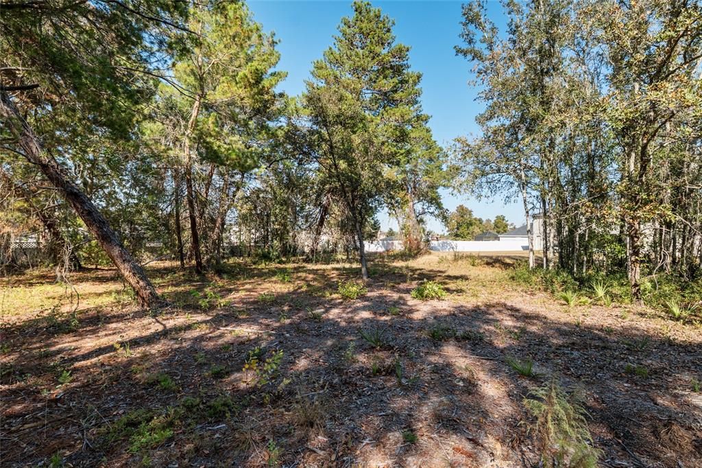 Под контрактом: $350,000 (5 спален, 2 ванн, 2906 Квадратных фут)