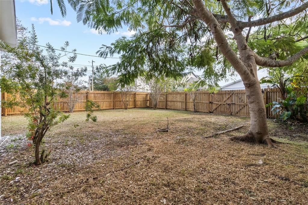 出租: $2,200 (3 贝兹, 1 浴室, 1122 平方英尺)