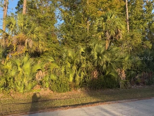 待售: $79,999 (0.23 acres)