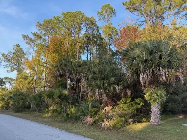 待售: $79,999 (0.23 acres)