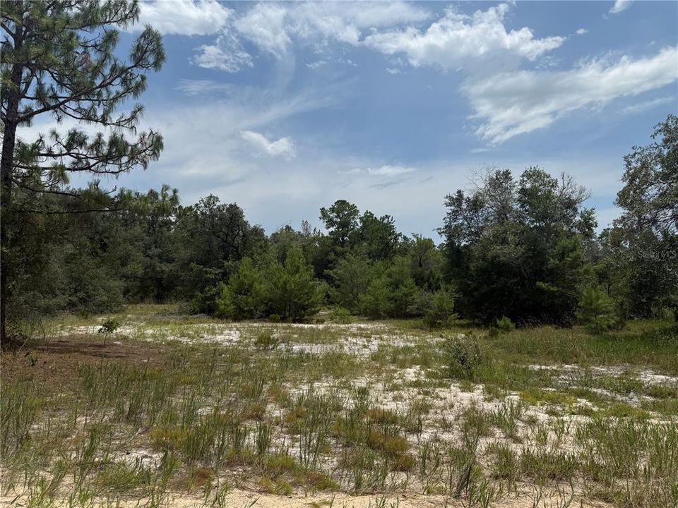 Vendido Recientemente: $10,000 (1.50 acres)