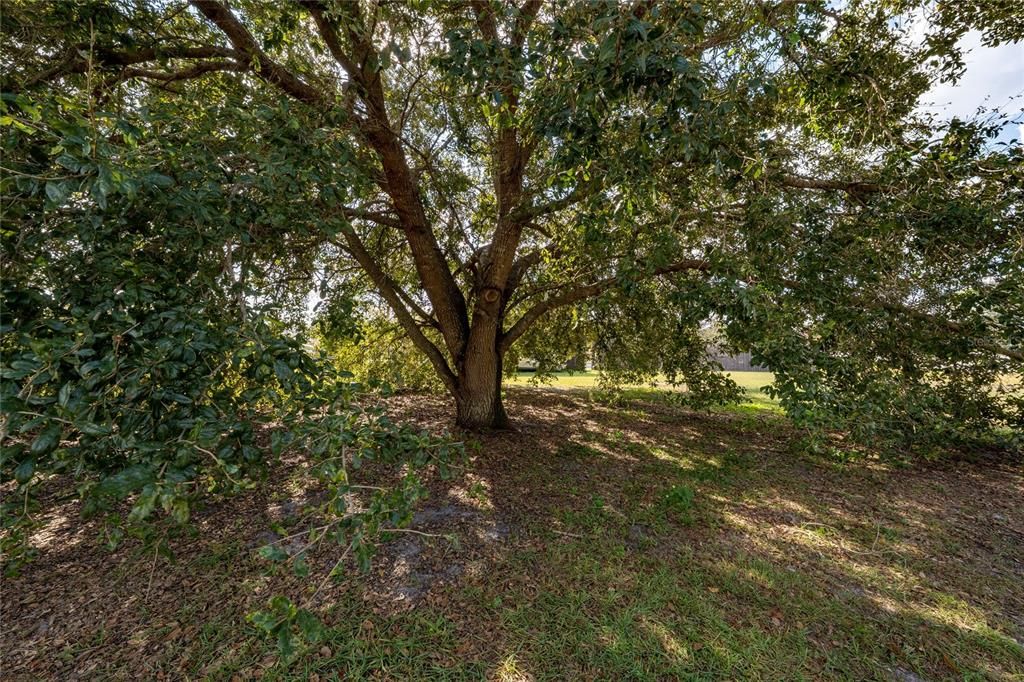 For Sale: $324,000 (4 beds, 2 baths, 1390 Square Feet)