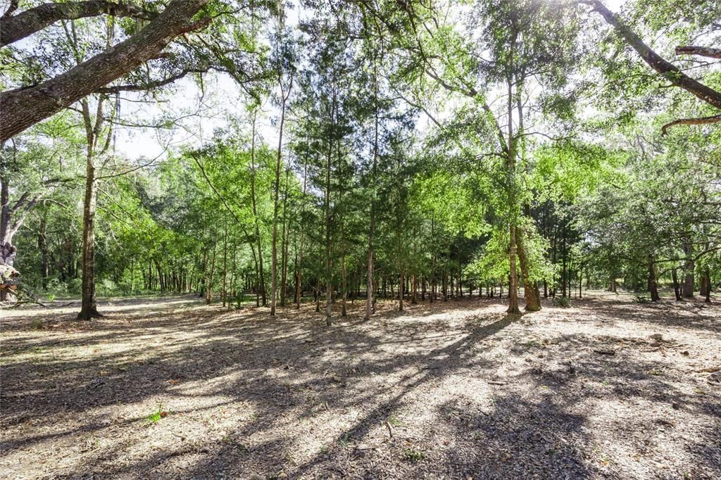 待售: $400,000 (3 贝兹, 2 浴室, 1260 平方英尺)