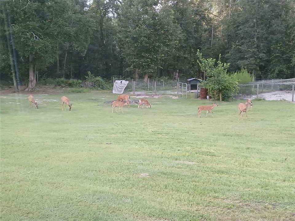 待售: $400,000 (3 贝兹, 2 浴室, 1260 平方英尺)