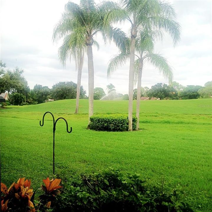 В аренду: $2,000 (2 спален, 2 ванн, 1274 Квадратных фут)