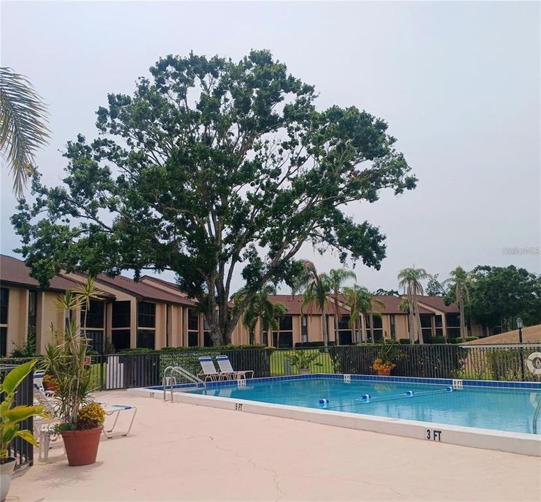 В аренду: $2,000 (2 спален, 2 ванн, 1274 Квадратных фут)