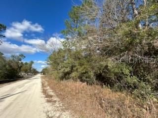 En Venta: $34,900 (1.12 acres)