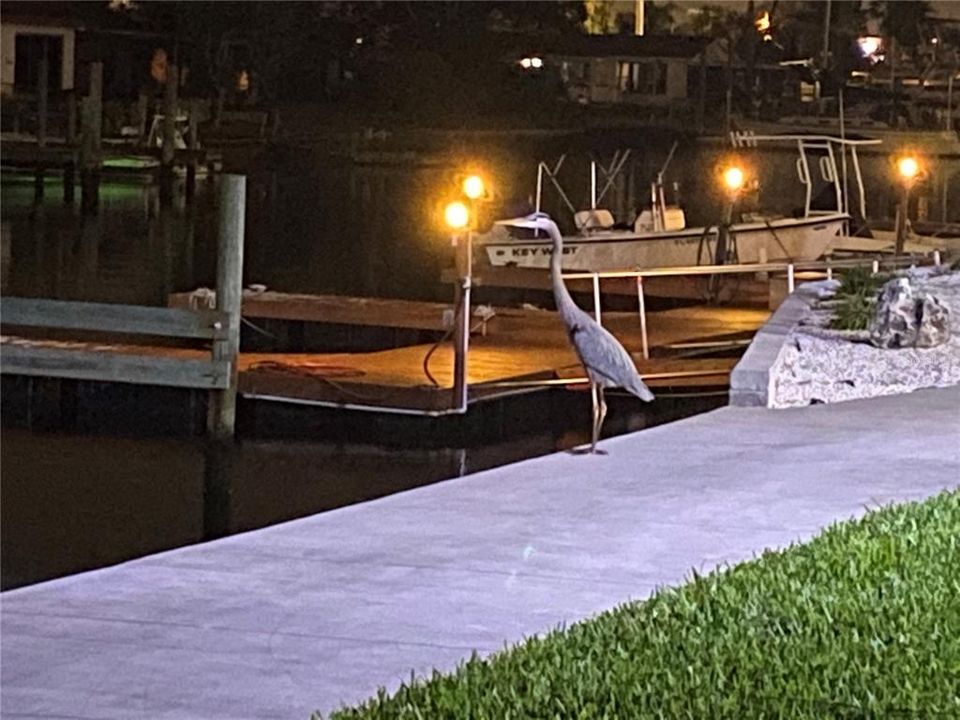 For Sale: $275,000 (2 beds, 2 baths, 950 Square Feet)