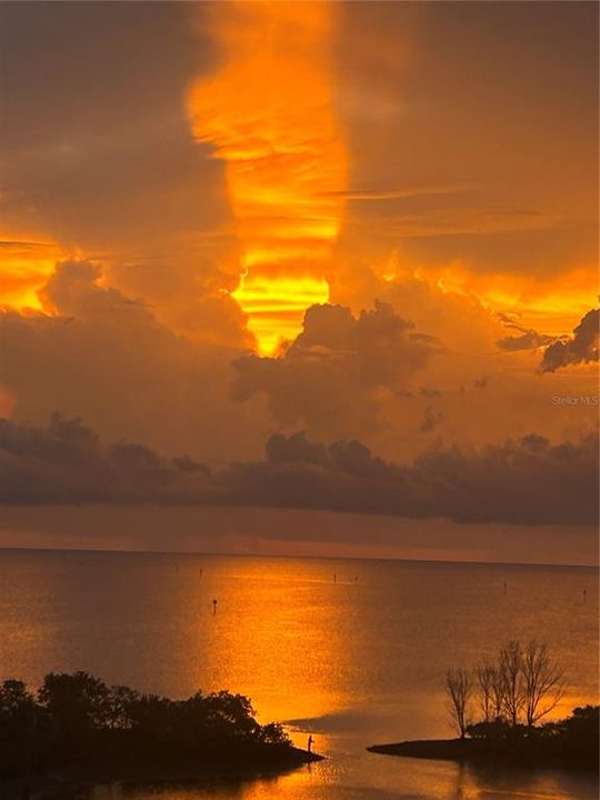 For Sale: $275,000 (2 beds, 2 baths, 950 Square Feet)