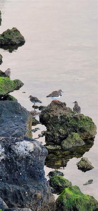 For Sale: $275,000 (2 beds, 2 baths, 950 Square Feet)