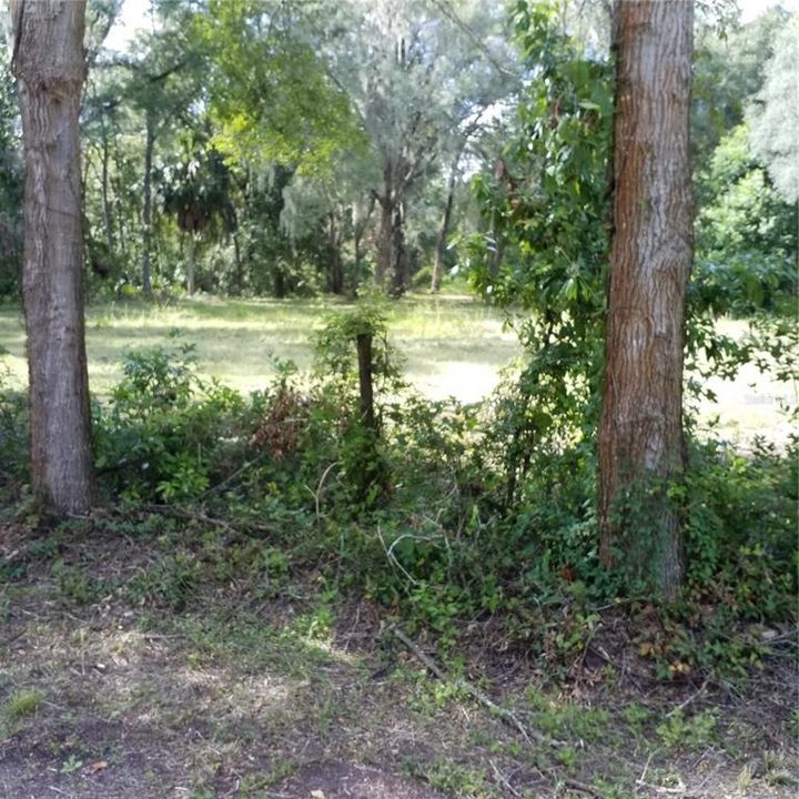 For Sale: $135,000 (3 beds, 2 baths, 1620 Square Feet)