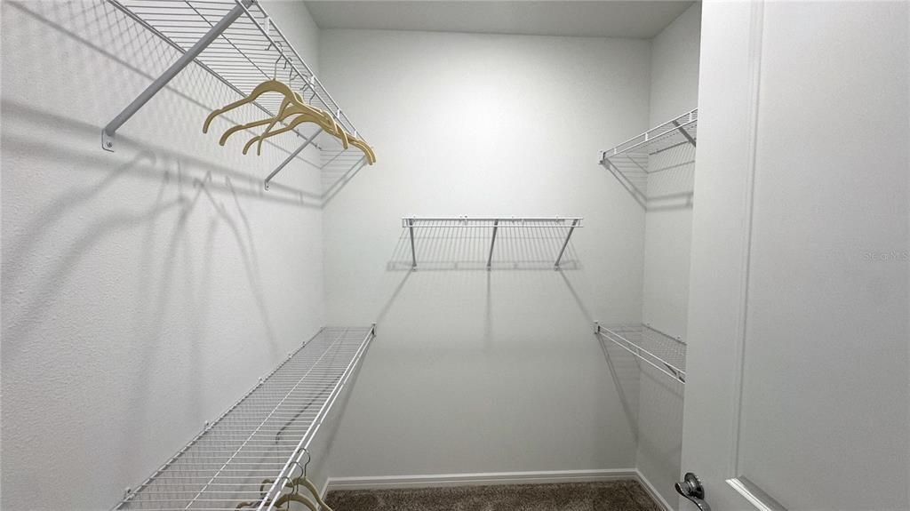 出租: $2,600 (3 贝兹, 2 浴室, 1655 平方英尺)