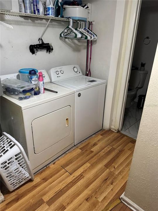 出租: $1,350 (2 贝兹, 1 浴室, 899 平方英尺)