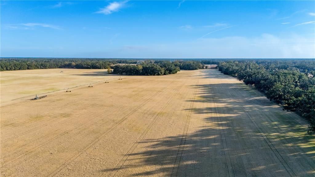 待售: $1,700,000 (3 贝兹, 2 浴室, 1512 平方英尺)