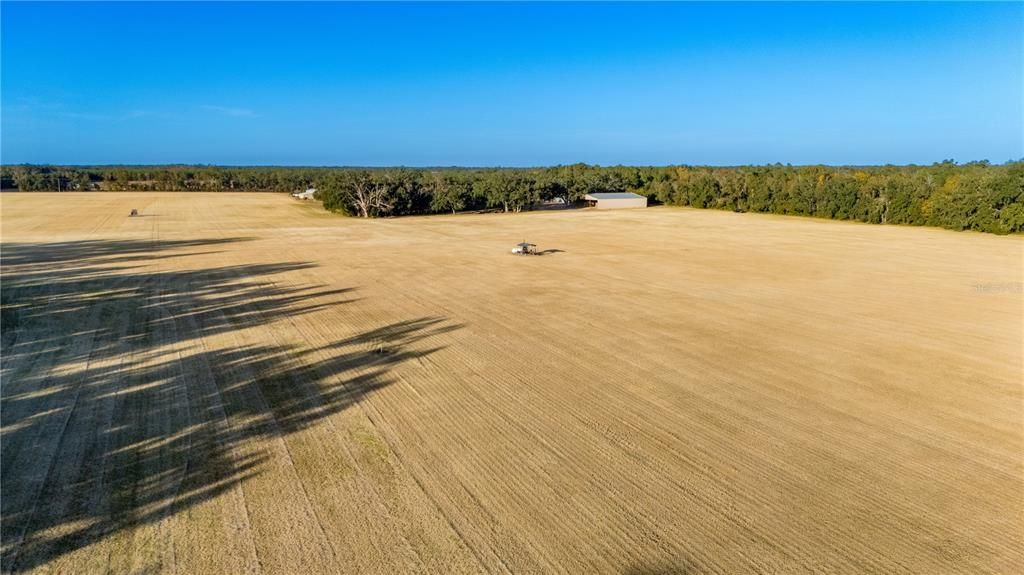 待售: $1,700,000 (3 贝兹, 2 浴室, 1512 平方英尺)