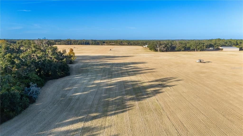 待售: $1,700,000 (3 贝兹, 2 浴室, 1512 平方英尺)