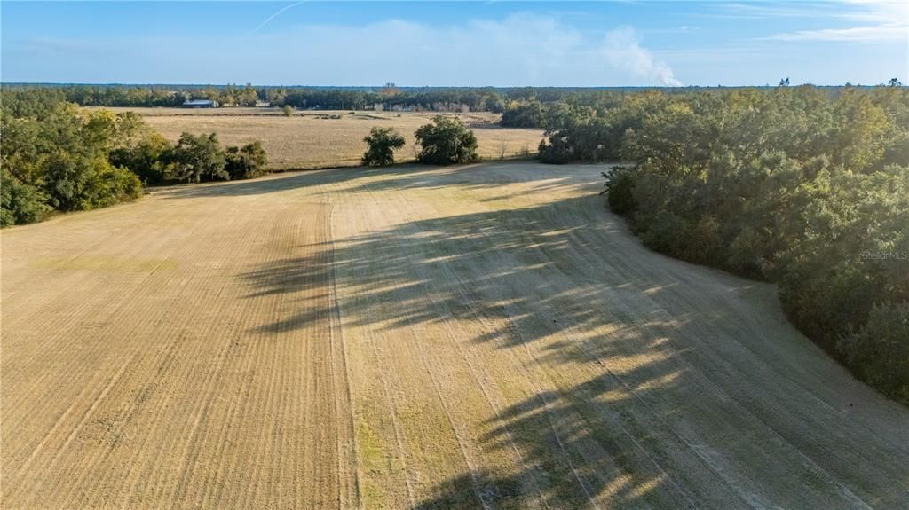 待售: $1,700,000 (3 贝兹, 2 浴室, 1512 平方英尺)