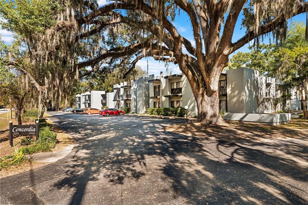 На продажу: $156,000 (3 спален, 2 ванн, 1242 Квадратных фут)