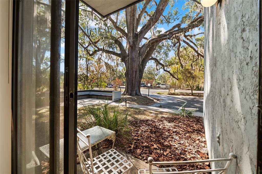 На продажу: $156,000 (3 спален, 2 ванн, 1242 Квадратных фут)