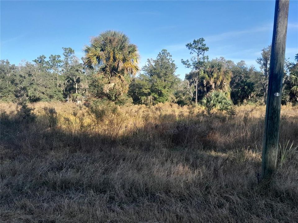 For Sale: $10,000 (0.23 acres)