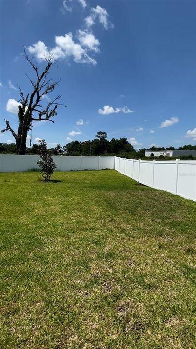 出租: $2,300 (3 贝兹, 2 浴室, 2127 平方英尺)