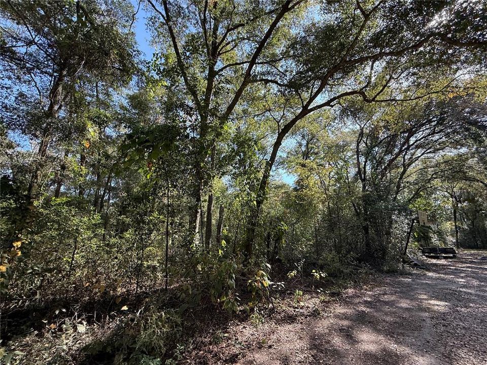 En Venta: $67,500 (0.56 acres)