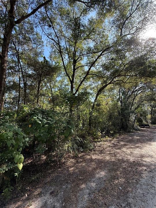 En Venta: $67,500 (0.56 acres)