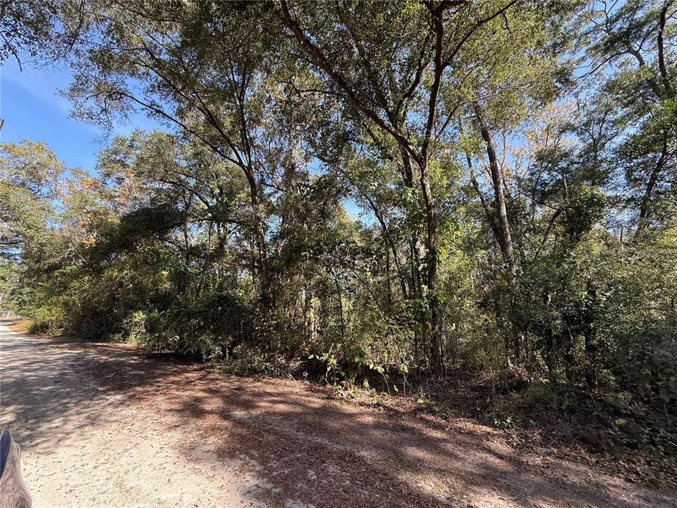 En Venta: $67,500 (0.56 acres)