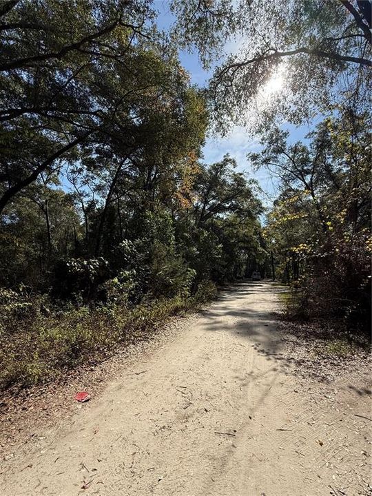 En Venta: $67,500 (0.56 acres)