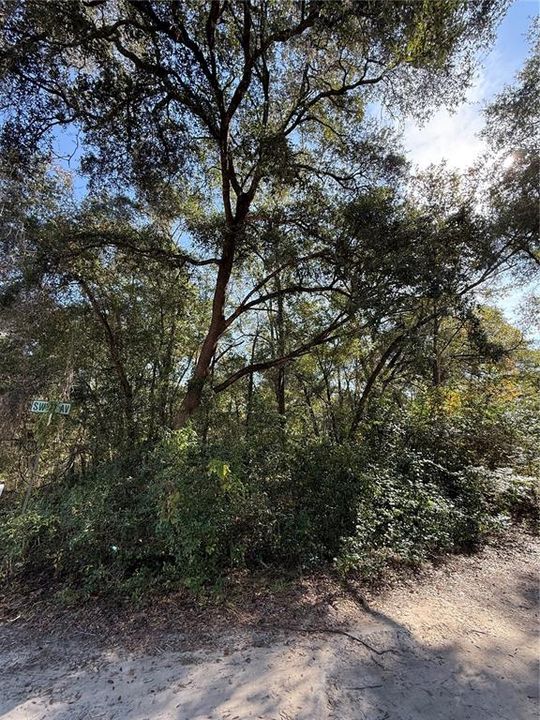 En Venta: $67,500 (0.56 acres)