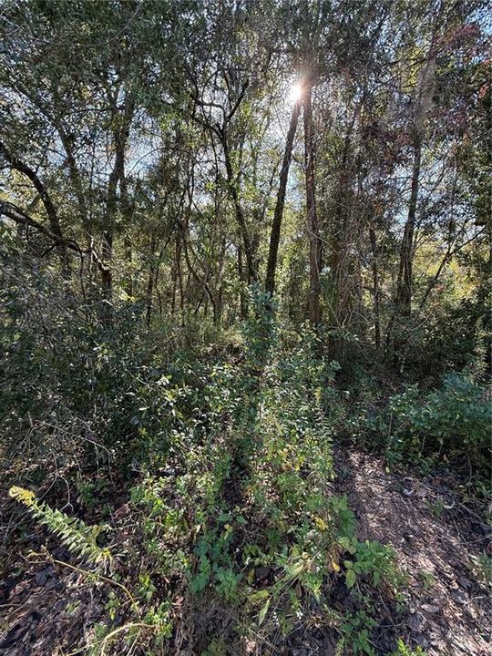 En Venta: $67,500 (0.56 acres)