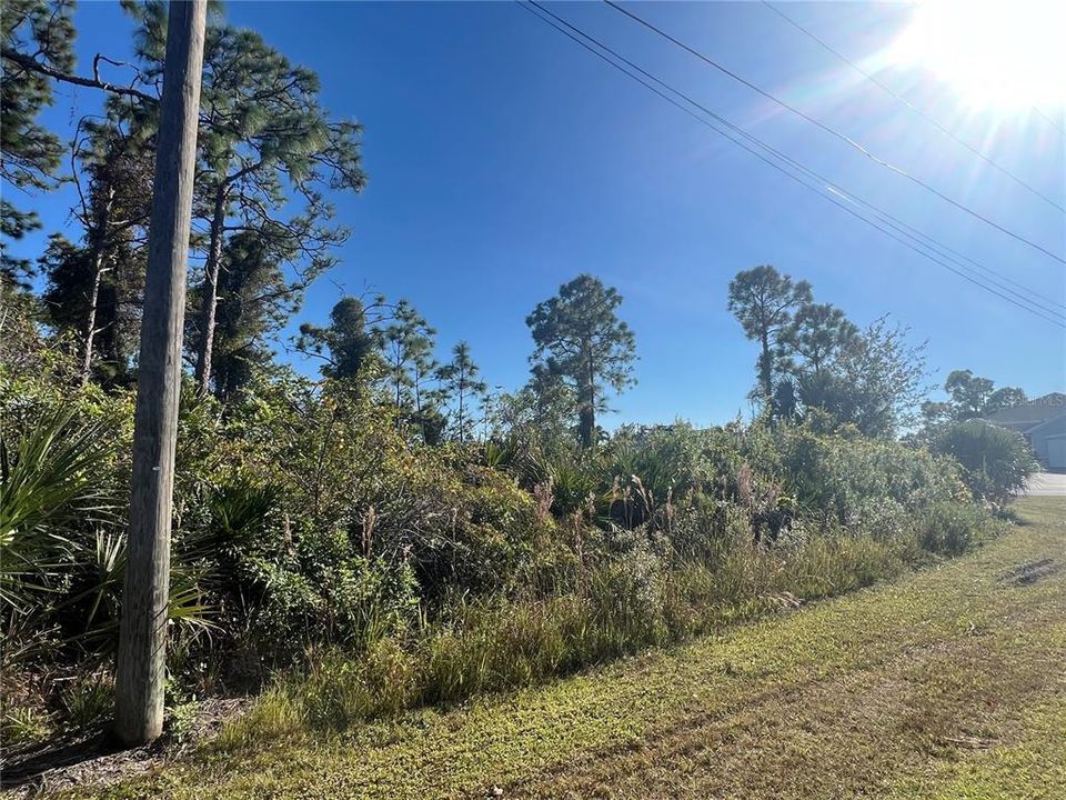 合同活跃: $20,000 (0.29 acres)