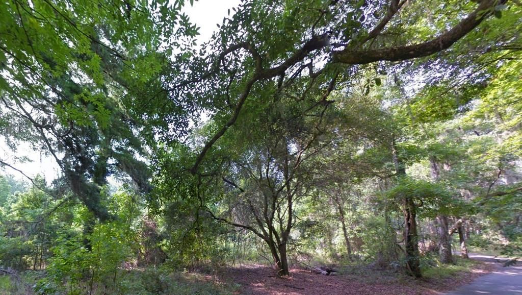 For Sale: $165,999 (3.02 acres)