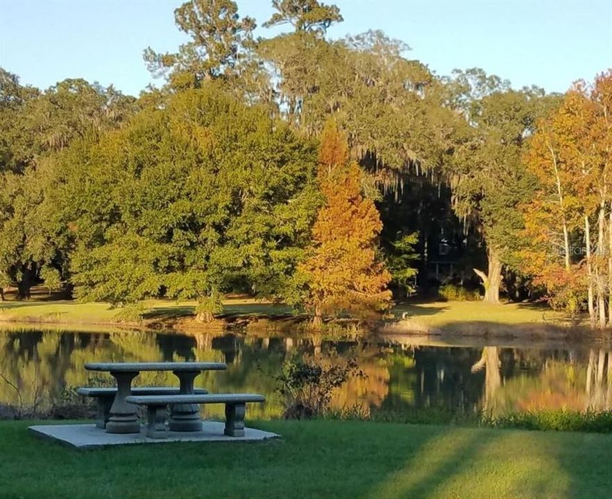 For Sale: $165,999 (3.02 acres)