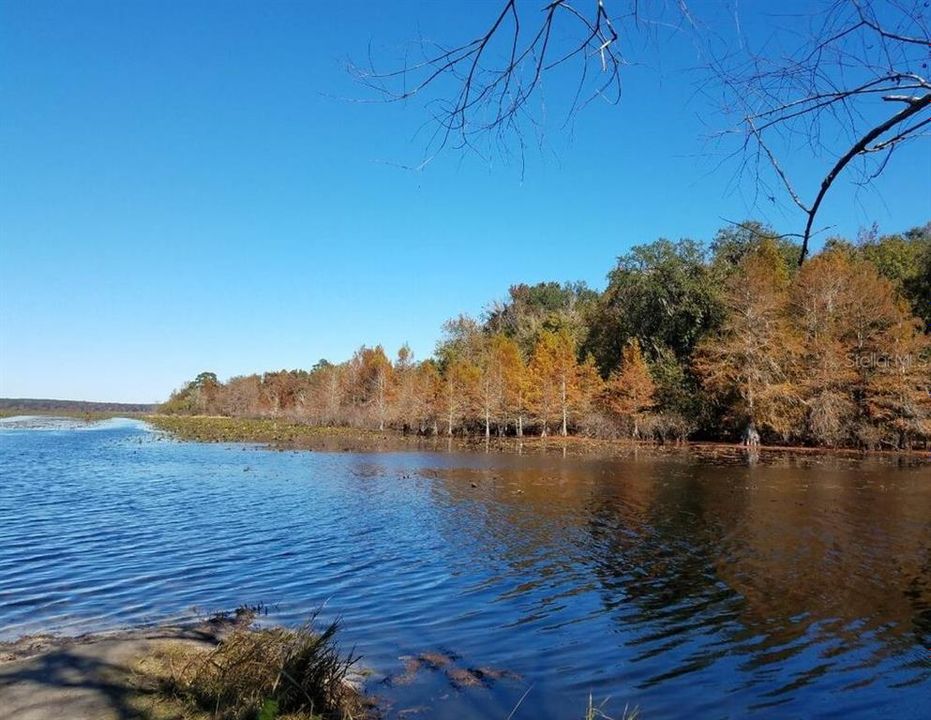 For Sale: $165,999 (3.02 acres)