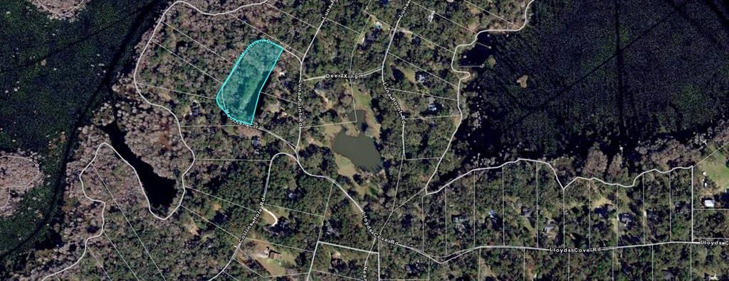 For Sale: $165,999 (3.02 acres)