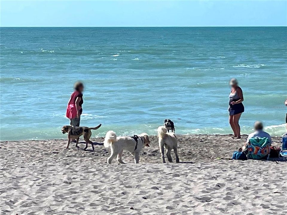 待售: $1,200,000 (3 贝兹, 3 浴室, 2039 平方英尺)