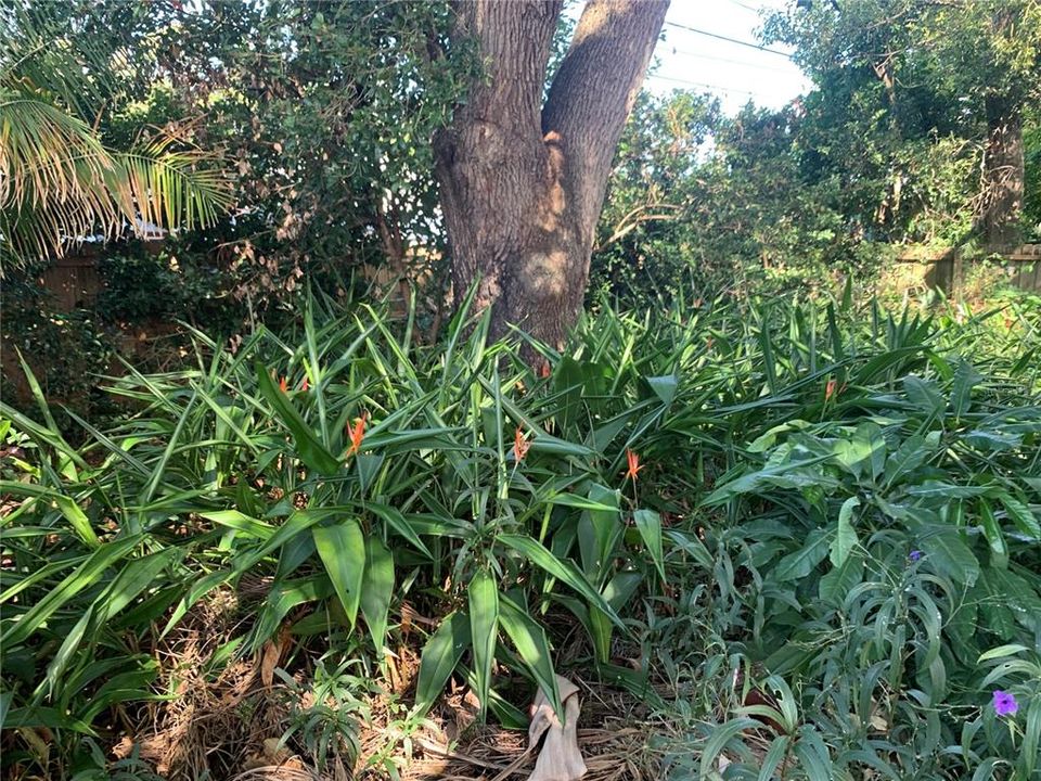 Activo con contrato: $104,900 (2 camas, 1 baños, 961 Pies cuadrados)