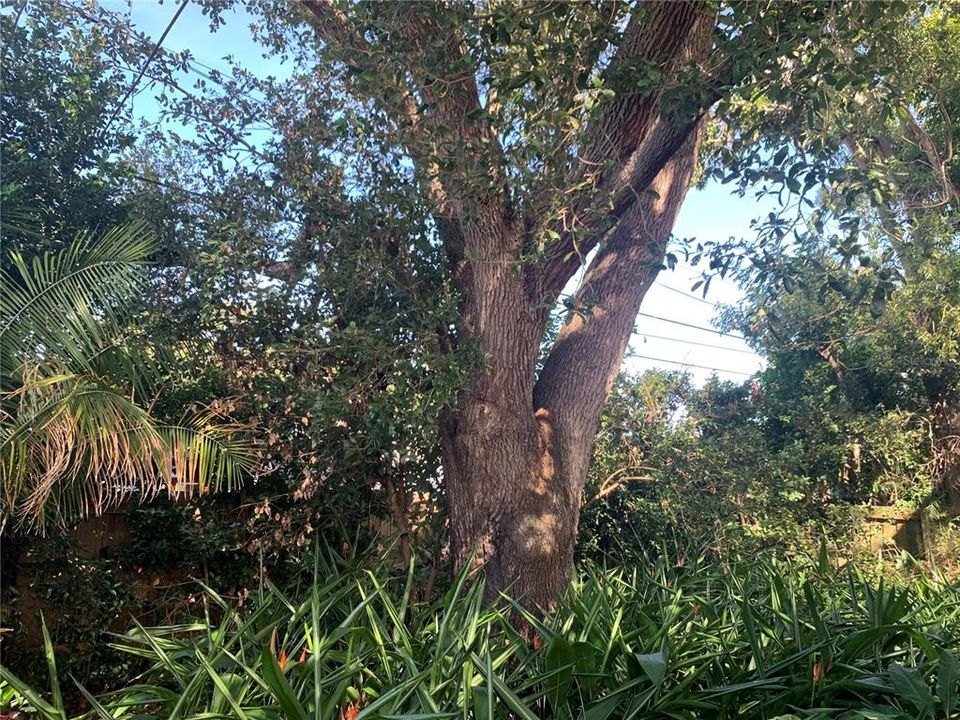 Activo con contrato: $104,900 (2 camas, 1 baños, 961 Pies cuadrados)