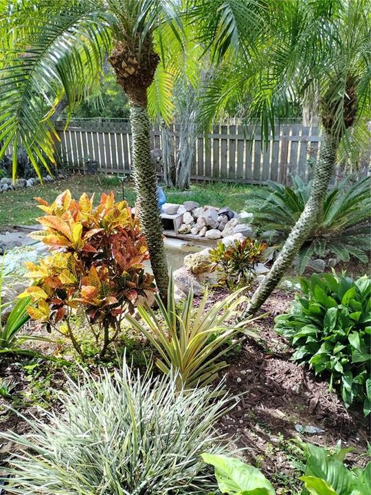 合同活跃: $300,000 (3 贝兹, 2 浴室, 1872 平方英尺)