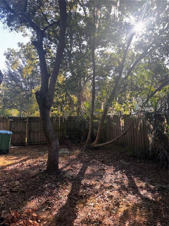 For Rent: $3,800 (4 beds, 2 baths, 1474 Square Feet)