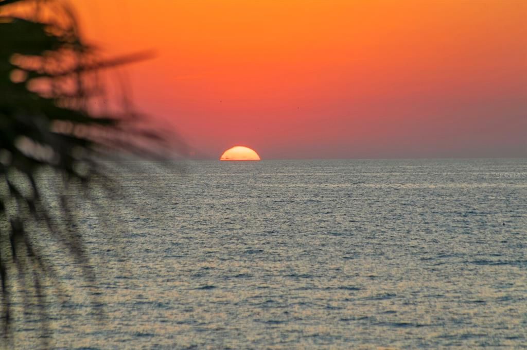 待售: $13,900,000 (8 贝兹, 8 浴室, 9271 平方英尺)