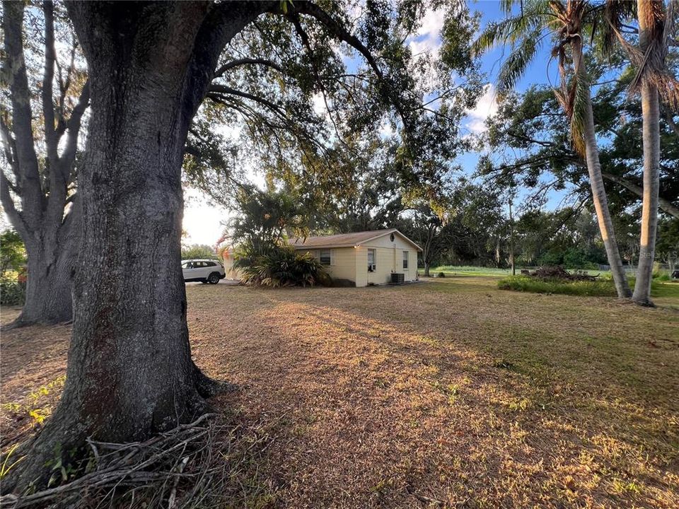 For Sale: $375,000 (3 beds, 2 baths, 1204 Square Feet)