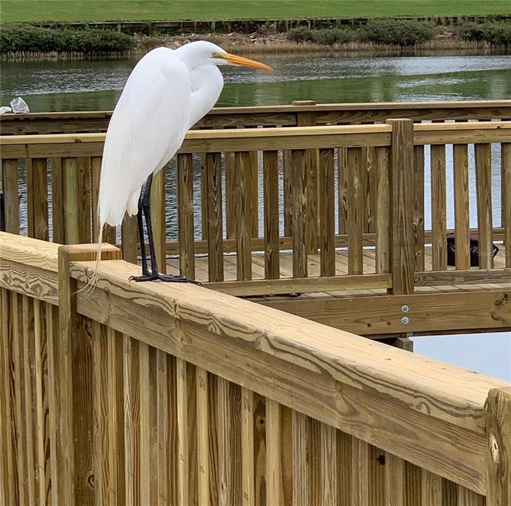 На продажу: $409,000 (3 спален, 2 ванн, 1575 Квадратных фут)